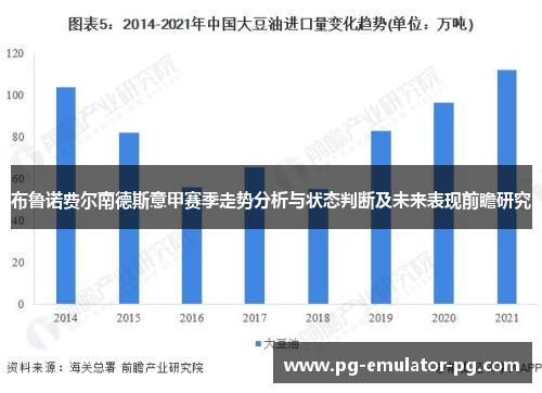 布鲁诺费尔南德斯意甲赛季走势分析与状态判断及未来表现前瞻研究